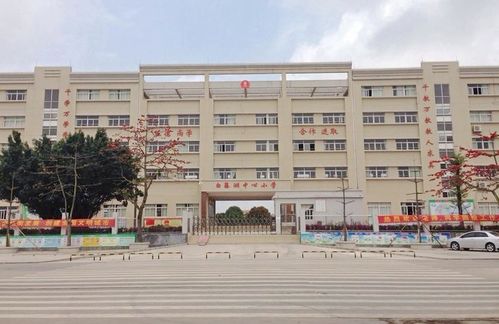 买房指南 湖心新城教育大盘点 值得收藏