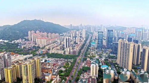 不踩坑 外地人在珠海买房必备指南,别再买错了