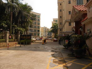 二手房,房屋买卖,租房,信息 珠海q房网