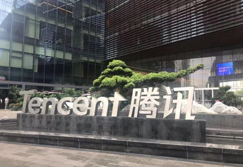 为什么北方人都在珠海买房子