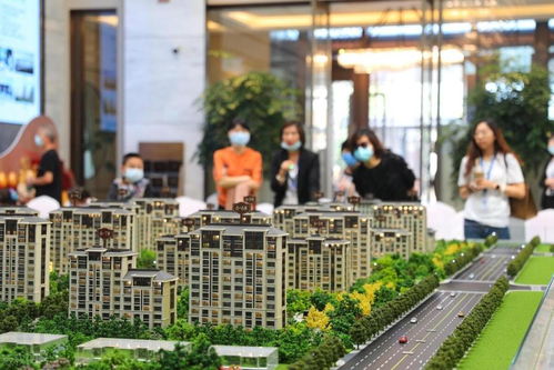 2023珠海楼市年度总结 逆风中的孤勇者,让刚需第一次赢麻了