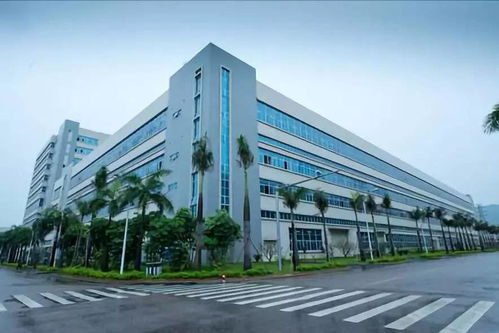 珠海购房过冬？这三点现实你必须看清