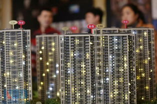 粤港澳双城记 珠海、中山全面对比，两栖置业者购房标准与分析